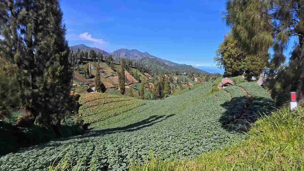 Campo sujeto a Renta presunta en la agricultura